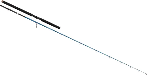 Savage Gear SGS2 Offshore Plug Spinnrute 2.50m 30–80g F