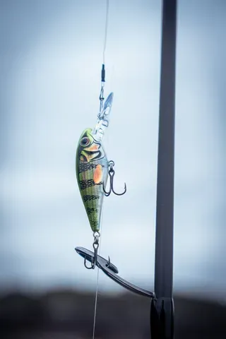 Salmo Rattlin' Executor SDR 7cm 1.5–3.9m 8g Hot Perch