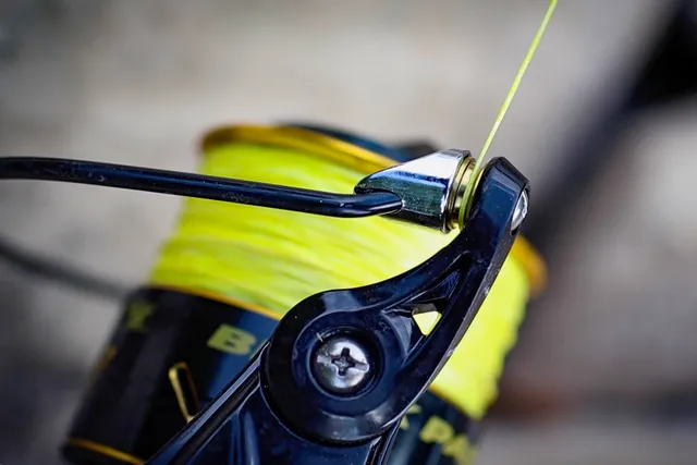 Black Cat Black Passion Spare Spool 80 7.5kg 670g 3.9:1