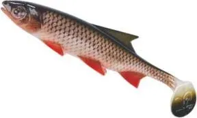 Balzer Shirasu Clone Shad Softbait 12cm Carp