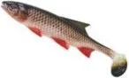 Balzer Shirasu Clone Shad Softbait 12cm Carp