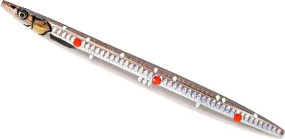 Savage Gear 3D Line Thru Sandeel 13.5cm 23g Sandeel Ghost