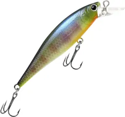 Lucky Craft Pointer 65 1m 5g BE Gill Floating