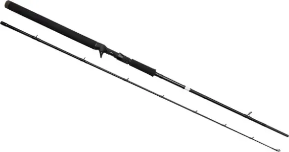Savage Gear SG2 Jerk Specialist BC Rod Spinnrute 1.98m 30–80g Fast