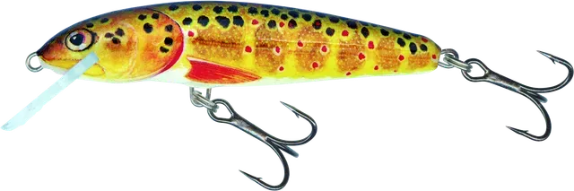 Salmo Minnow 6cm 0.5-1.0m 4g Floating Holo Real Minnow