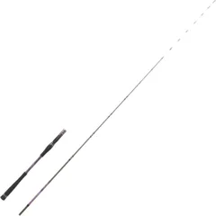 Hearty Rise Shiga Tenya Cast Meeresrute 2.05m 30–60g 2pc