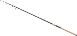 Balzer Diabolo Köderfischruten 3,6m 30-100g