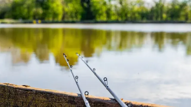 Preston Dura Pellet Waggler Rod 3.35m 4–12g