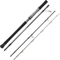 Hearty Rise Skywalker Popping Sea Fishing Rod 2.55m 100–250g 4pc