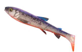 Savage Gear 3D Whitefish Shad Soft Bait 15cm 27g 2pc Hot Whitefish Savage Gear 3d Whitefish Shad - Gummifische - Länge / Gewicht / Packungsinhalt:15cm / 27g / 2 Stück