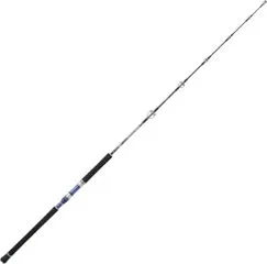 Hearty Rise Monster Game Jigging Spinning Rod 1.62m 100–300g