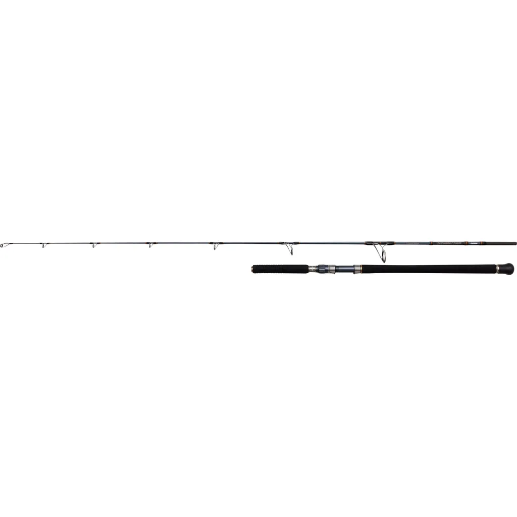PENN Battalion Solid Offshore Meeresrute 2.23m 15–80g 1+1pc