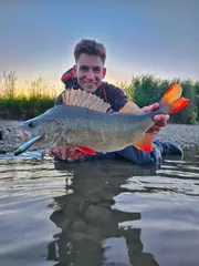 Savage Gear Bullet Mullet 11.2cm 23.5g Mirror Ayu