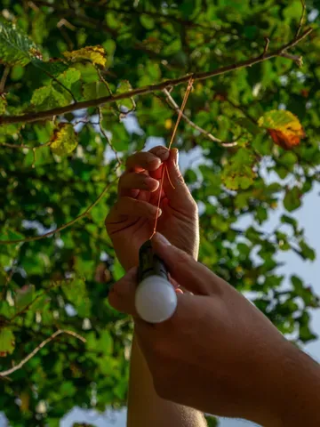 Fox Marker Sticks 24 60cm Aluminium