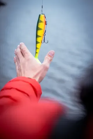 Fox Rage Zander Pro Shad 16cm 39g UV Natural Perch