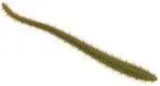 Berkley Gulp Saltwater Sandworm 14pc 15cm Camo