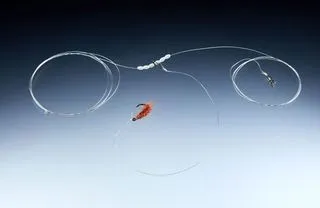 Balzer Meerforellen System Tangläufer #6 155cm Fluorocarbon