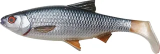 Savage Gear 4D LB River Roach Softbait Roach 18cm 70g