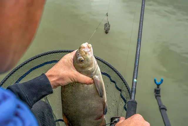 Preston Supera X Feeder 10ft 3.05m Progressive