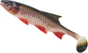 Balzer Shirasu Clone Shad 6.5cm Carp