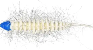 Westin Needle Bug 6.5cm Baby Blue/White