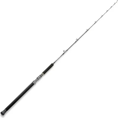 Hearty Rise Skywalker Cast Baitcaster-Rute 1.98m 75cm 180–400g 290g