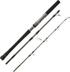 Hearty Rise Skywalker Jigging Spin Rute 1.63m 320g 3pc 60cm