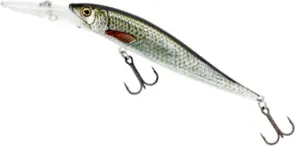 Westin Jerkbite MR 1–2m Real Roach