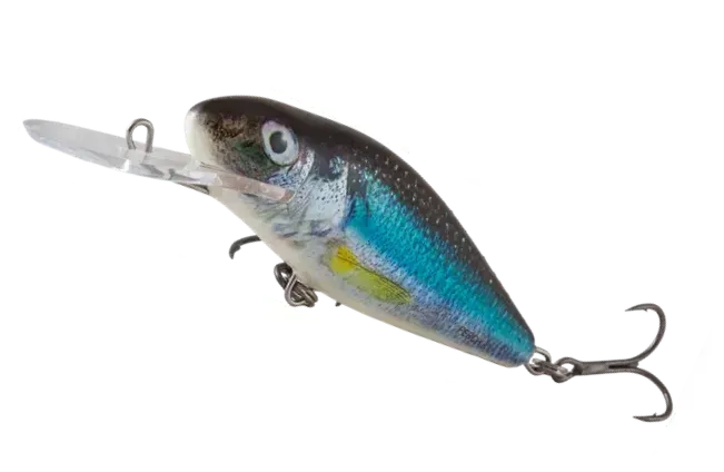 Salmo Perch 12cm 2–4m 36g Holo Smelt
