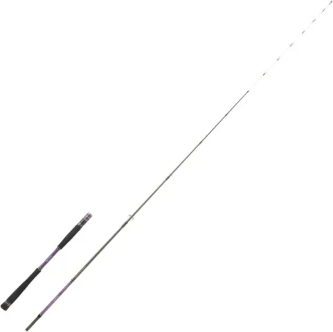 Hearty Rise Shiga Tenya Spin Meeresrute 2.05m 30–60g 2pc