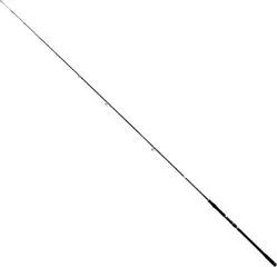 Bullseye Dentist Spinning Rod Huchen Edition 3m 50–165g 314g 2pc