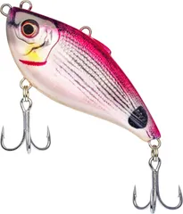 Westin Buzzvibe Meeresköder 100FS 10cm 57g Pink Saddled Bream