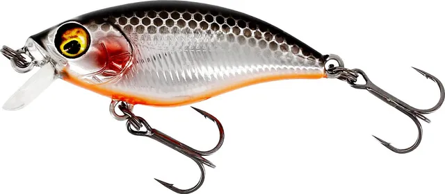 Westin BuzzBite SR Crankbait 5cm 6g 0–1m Steel Sardine