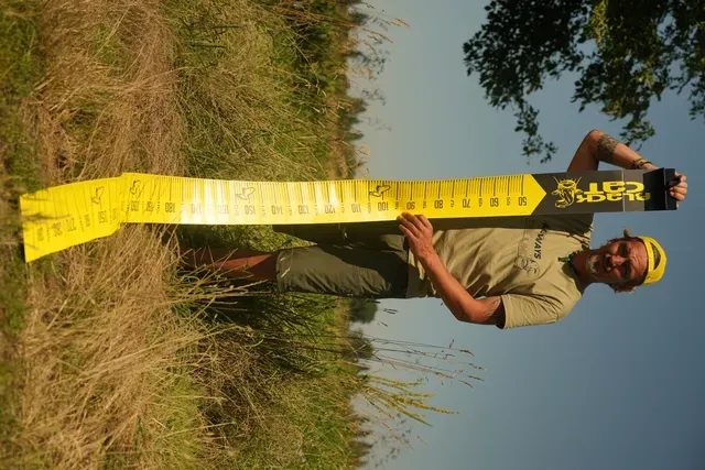 Black Cat Cat Measure 300cm Maßband