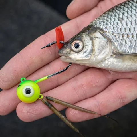 Zebco DB Series Bait Holding Flags