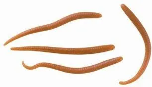 Berkley Gulp! Mini Earthworm 3cm 40g 42pc Natural