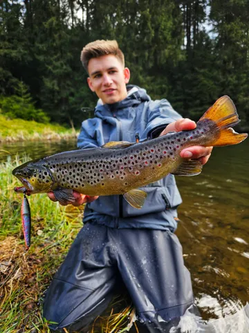 Savage Gear Seeker ISP Crankbait 9.8cm 0.5–1.5m 23g Green/Silver