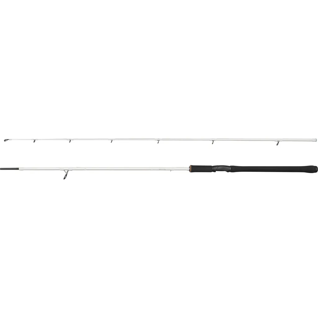 Abu Garcia BEAST X2 822 H Trolling Spinning 2.49m 30–110g 2pc