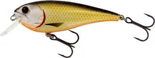 Westin Raw Bite 7cm 1.5–2m 12g Official Roach