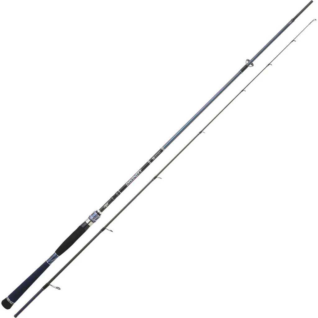 Hearty Rise Divinity Spinnrute 2.15m 15–60g 2pc