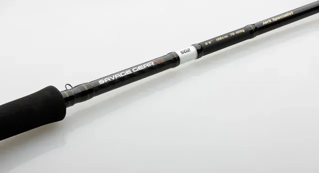 Savage Gear SG2 Jerk Specialist BC Rod Spinnrute 1.98m 30–80g Fast