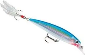 Rapala X-Rap Crankbaits XR10 10cm 13g 1.2–1.8m SB