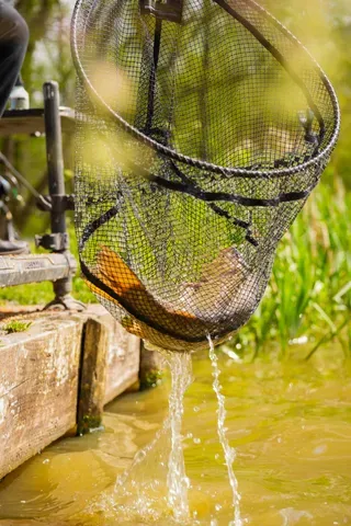 Preston Carbon F1 Kescher 46cm Latex