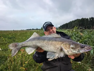 Alles für das leichte Angeln auf Zander