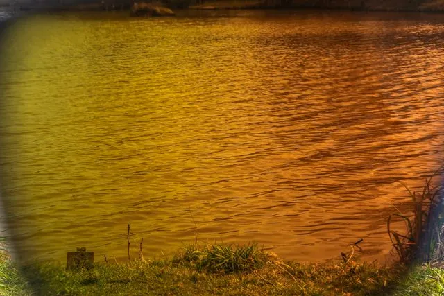 Preston Absolute Wrap Sunglasses Amber