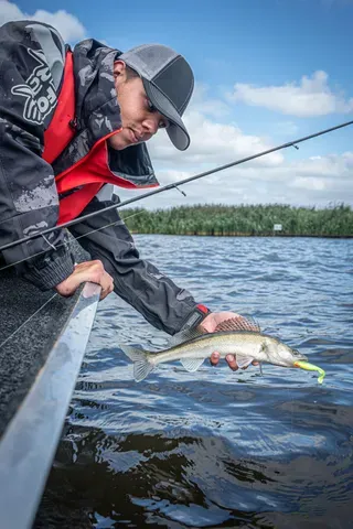 Fox Rage Drop Shot Micro Ready Rig Size 8