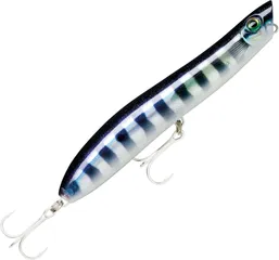 Rapala MaxRap® Walk'N Roll Oberflächenköder 10cm 13g Baby Cuda