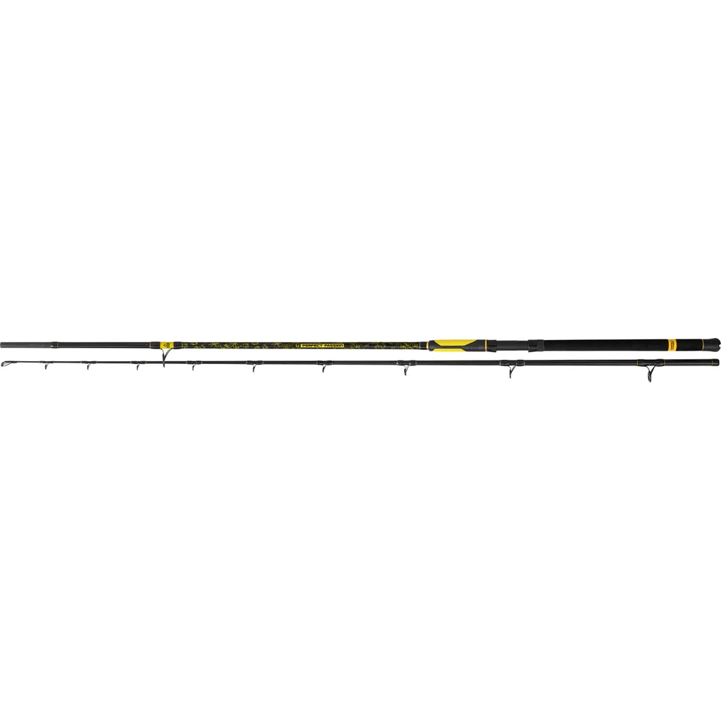 Black Cat Perfect Passion XH-S Welsrute 2.4m 350g 2pc