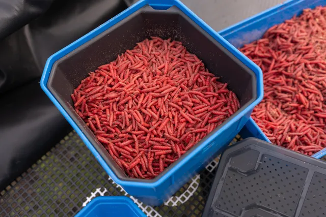 Preston 4Pt Köderdose XLarge