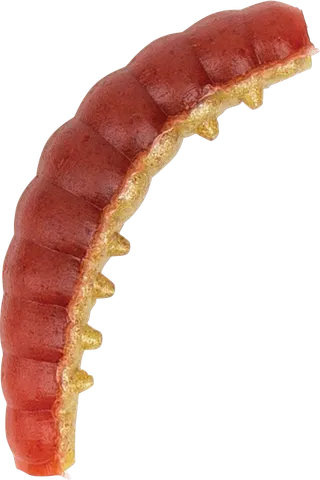 Berkley PowerBait Power Honey Worm 2.5cm 60g Red/Yellow